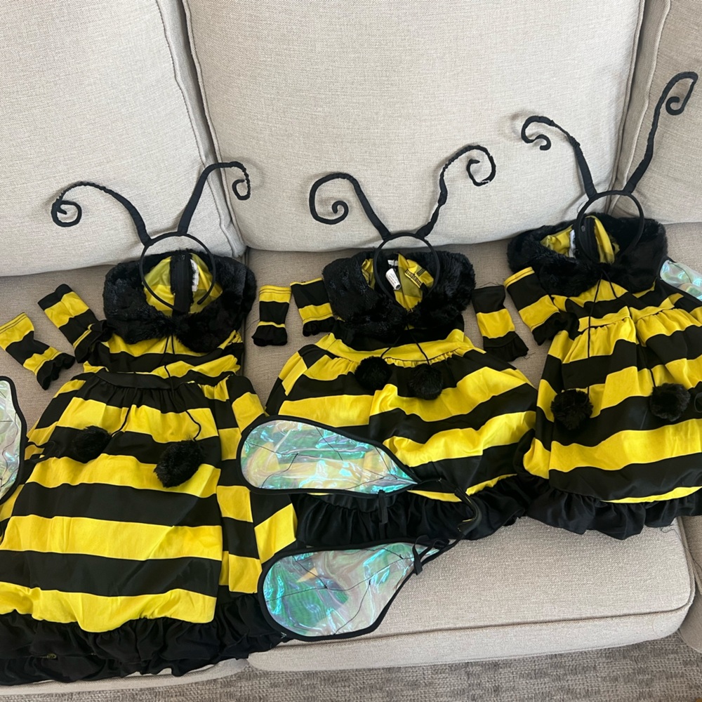 Three sisters bee costumes 🐝🐝🐝